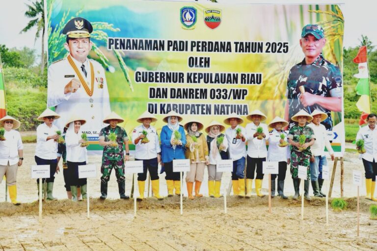 Perdana Lakukan Penanaman Padi di Natuna, Pemprov Kepri Perkuat Ketahanan Pangan