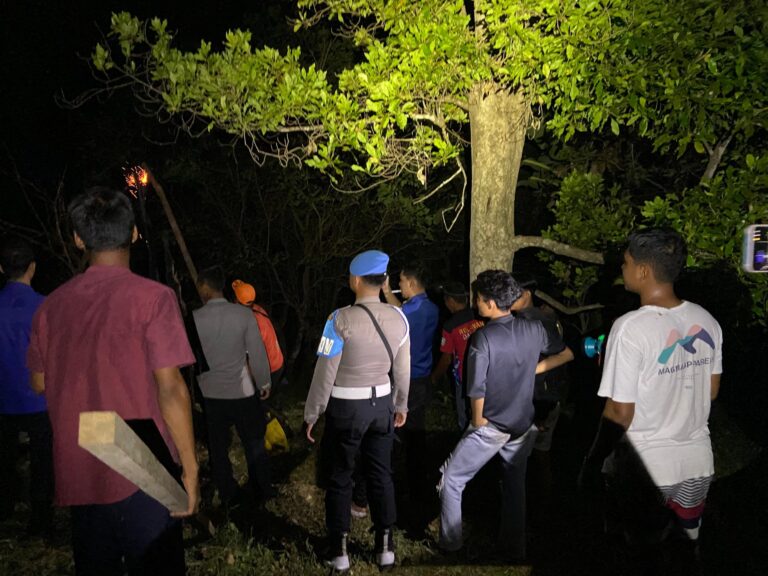 Kebakaran Gegara Bakar Ilalang, Api Nyaris Meluas di Anambas