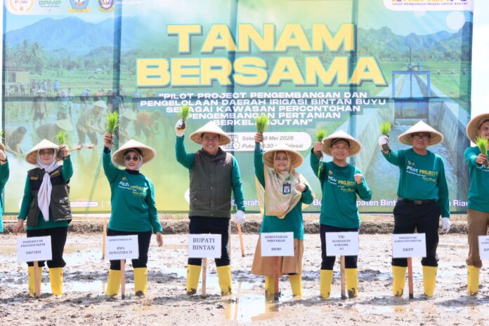 BWS IV dan Pemkab Bintan Tanam Padi Bersama BWS IV dan Pemkab Bintan Tanam Padi Bersama