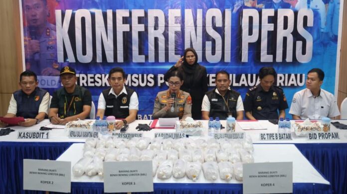 Polda Kepri Gagalkan Penyelundupan Benih Lobster Polda Kepri Gagalkan Penyelundupan Benih Lobster