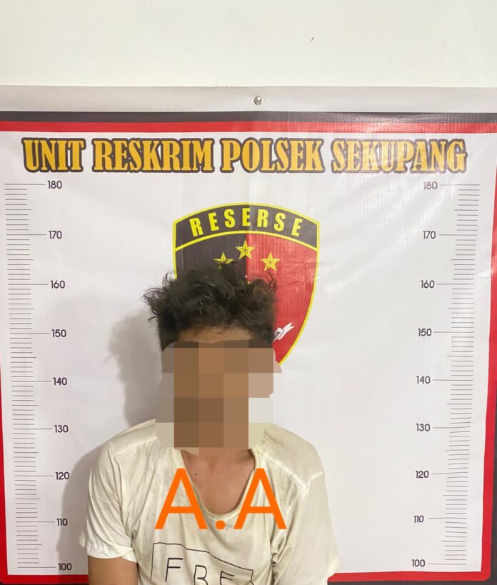 Polsek Sekupang Tangkap Dua Pelaku Pencurian di Batam Polsek Sekupang Tangkap Dua Pelaku Pencurian di Batam